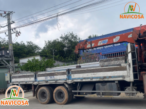 Thue xe cau tai Binh Duong