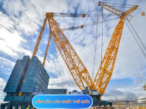 Can cau lon nhat the gioi