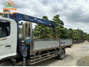 Cho thue xe cau Cu Chi