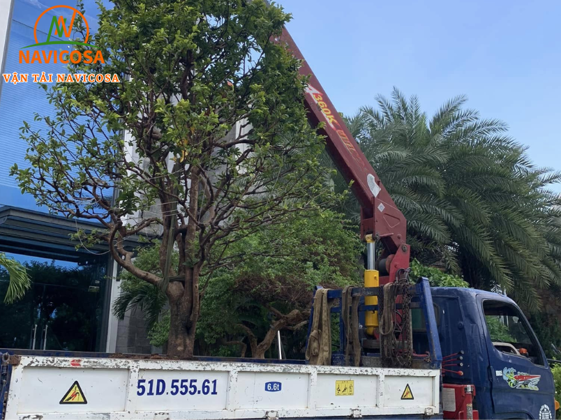 Dich vu cho thue xe cau KCN Tan Phu Trung tron goi