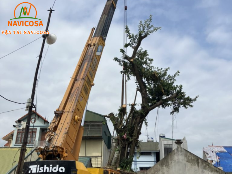 Quy trinh cho thue xe cau 45 tan chuyen nghiep