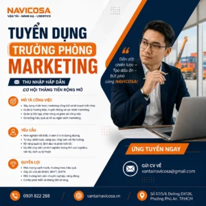 Tuyen dung truong phong Marketing T8 2026