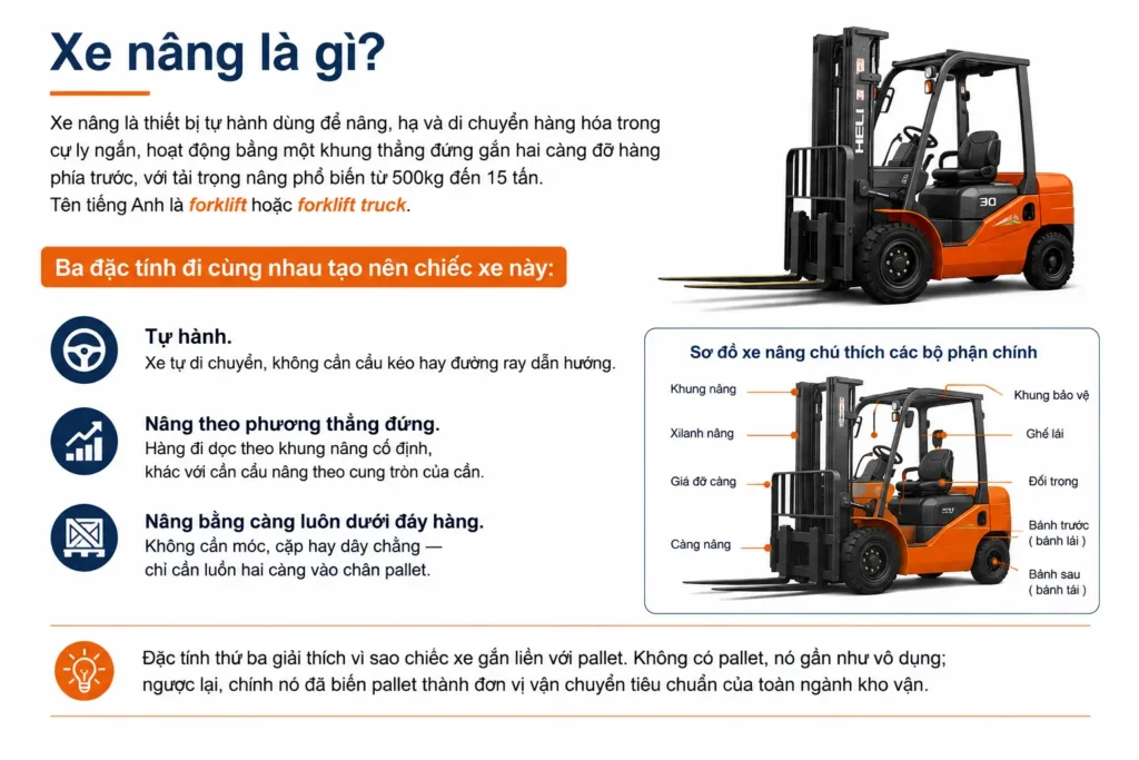 Xe nang hang la gi